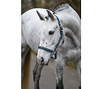 Halfter Twinkle