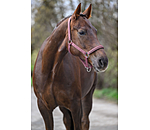 Halfter Twinkle