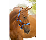 Halfter Twotone & Crystal