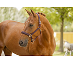 Halfter Twotone & Crystal