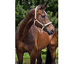 Halfter Signature III