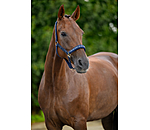 Halfter Signature III