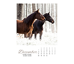 Pferdekalender 2026  mit deutschem Kalendarium