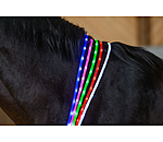 LED-Leuchthalsriemen für Pferde