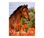 Pferdeliebe Kalender 2026