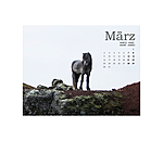 Islnder Kalender 2026