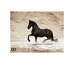 Friesen Kalender 2026
