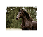 Friesen Kalender 2026