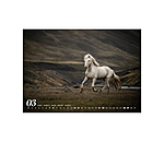Islnder Kalender 2026