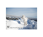 Islnder Kalender 2026