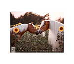 Haflinger Kalender 2026