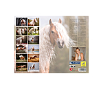 Haflinger Kalender 2026