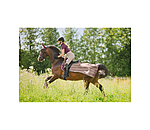 Fliegen-Ausreitdecke Economy Light