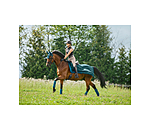 Fliegen-Ausreitdecke Economy Light