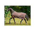 Fliegenschutz-Walker Economy Light