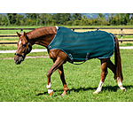 Fliegenschutz-Walker Economy Light