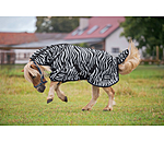 Zebra Fliegendecke Combo