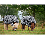 Zebra Fliegendecke Combo