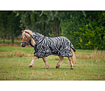Zebra Fliegendecke Combo