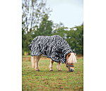 Zebra Fliegendecke Combo