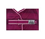 Fliegendecke Economy Light