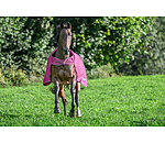 Outdoor-Walker Kasimo II, 0 g