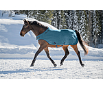 Fleece-Walker Activity