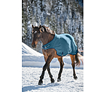 Fleece-Walker Activity