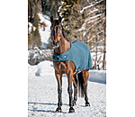 Fleece-Walker Activity