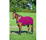 Fleece-Walker Activity