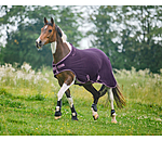 Fleece-Walker Activity