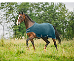 Fleece-Walker Activity
