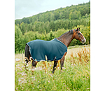 Fleece-Walker Activity