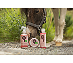 Glitzer-Hufbalsam Champion