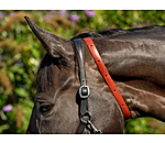 Insektenschutz-Halsband für Pferde