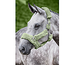 Teddyfleece-Halfter Protection