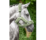 Teddyfleece-Halfter Protection
