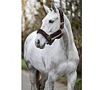 Teddyfleece-Halfter Protection