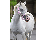 Fohlen- & Shetty-Teddyfleece-Halfter Cozy Adjustable