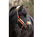 Fohlen- & Shetty-Teddyfleece-Halfter Cozy Adjustable
