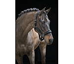 Halfter Velvet Twinkle