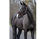 Teddyfleece-Halfter