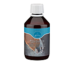 Krutersaft  Bronchial Booster
