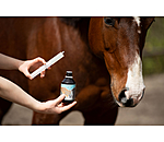 Krutersaft  Bronchial Booster