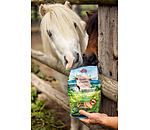 Knobi-Wunder Leckerli-Mix