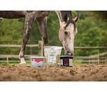 Kr�utermischung Senior