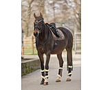 Teddyfleece-Dressurgamaschen Essential, Hinterbeine