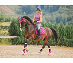 Teddyfleece-Dressurgamaschen Essential, Hinterbeine