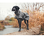 All-Round Softshell-Hundemantel Bark, 0 g
