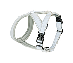 Reflex Hundegeschirr